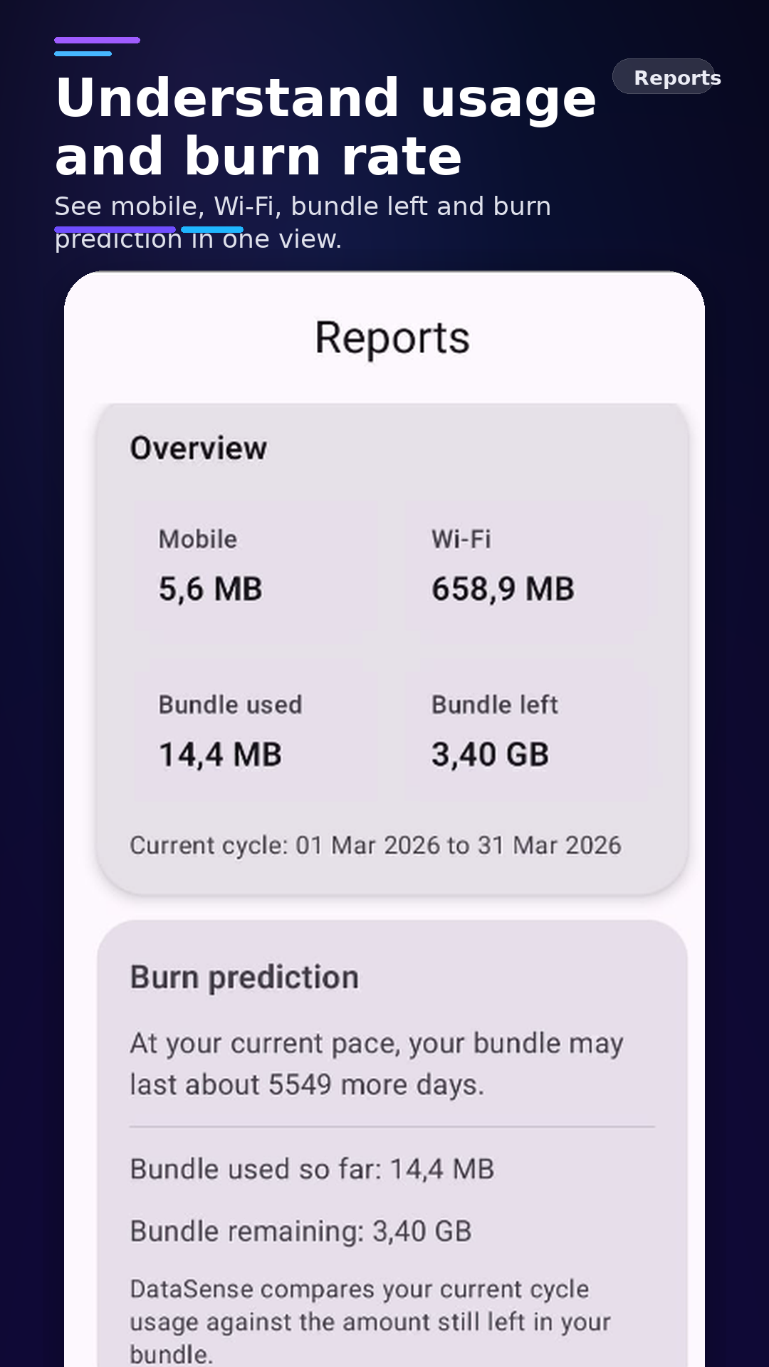 DataSense reports overview screenshot